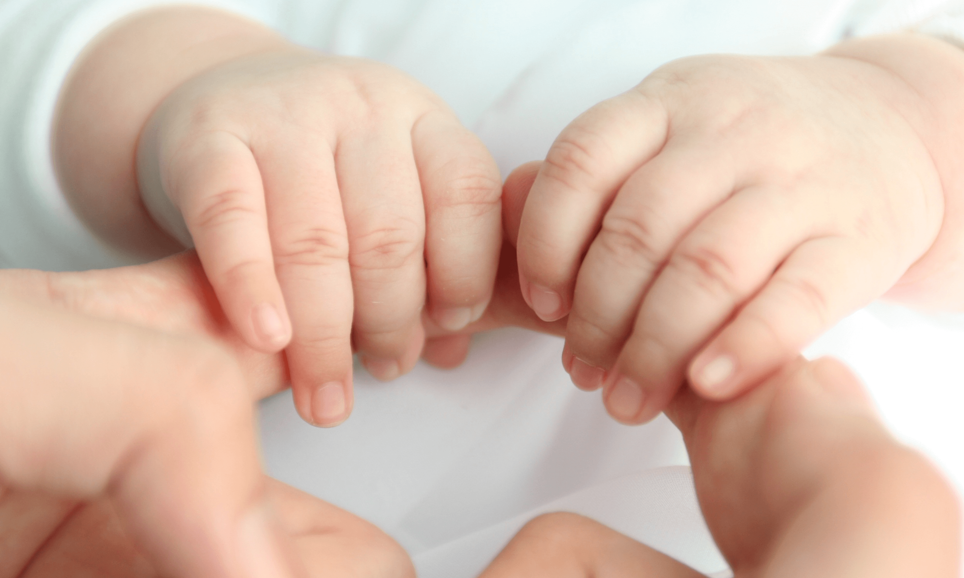 Essentials From Newborn To School Age