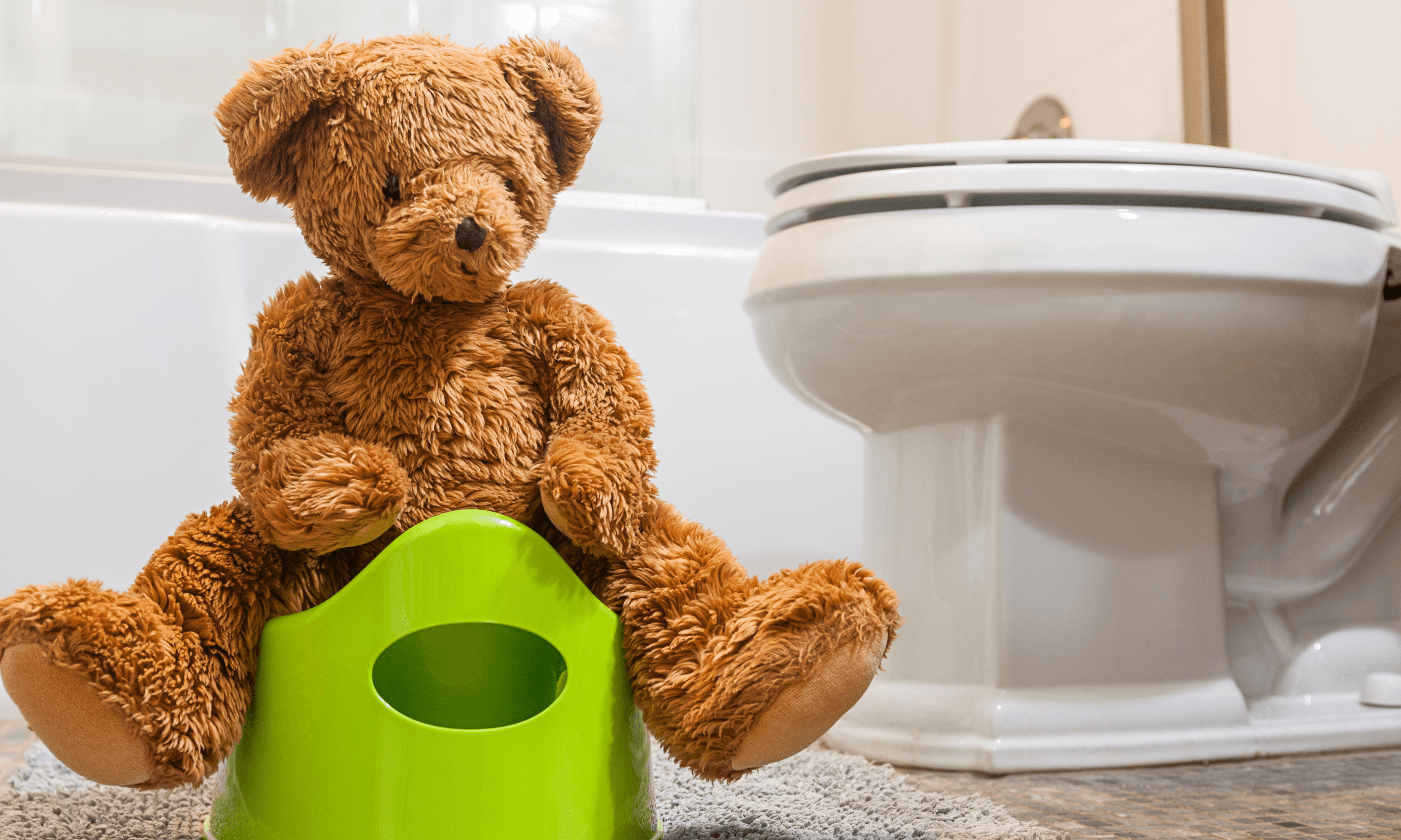 Potty Training Essentials
