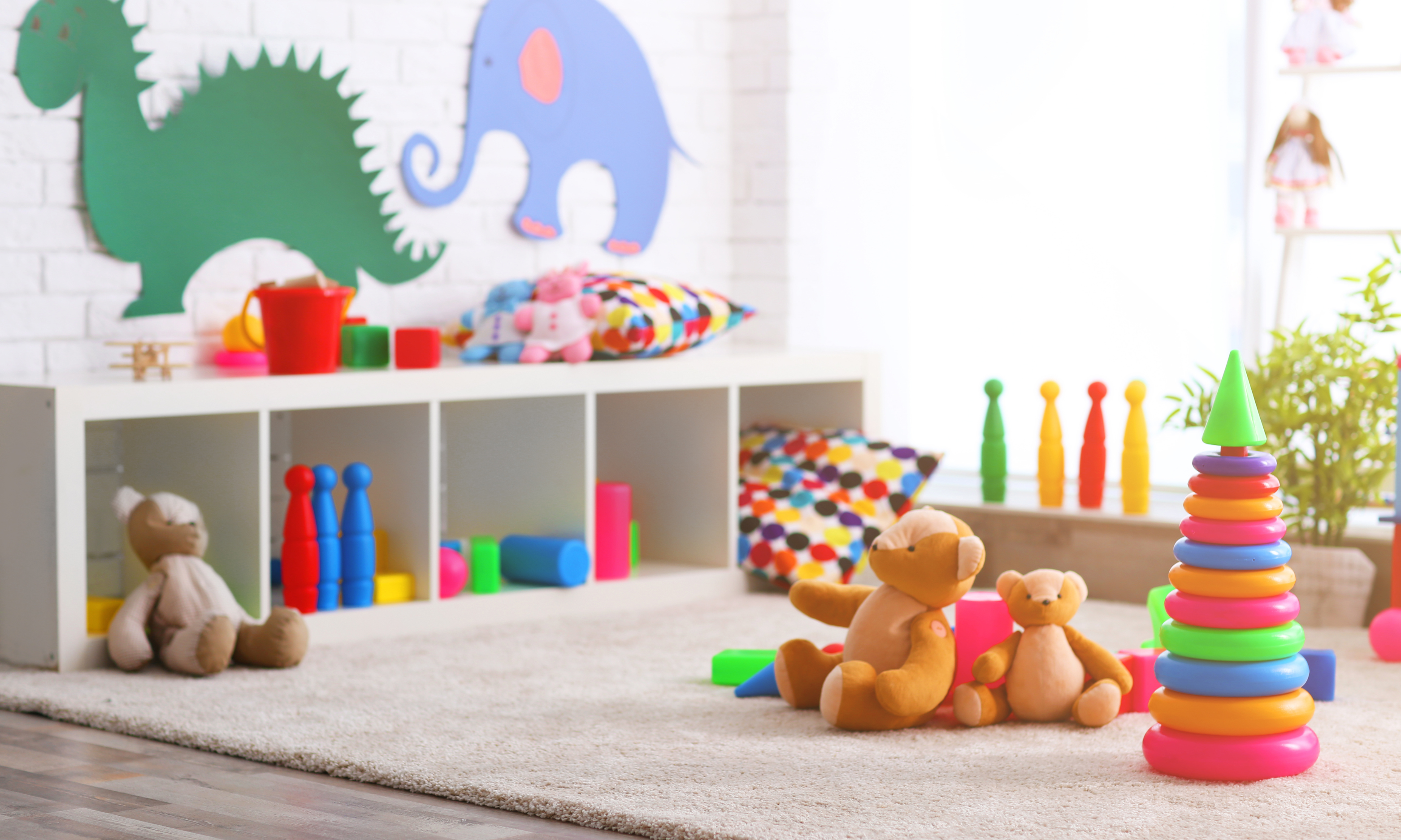 Indoor Toy Essentials 