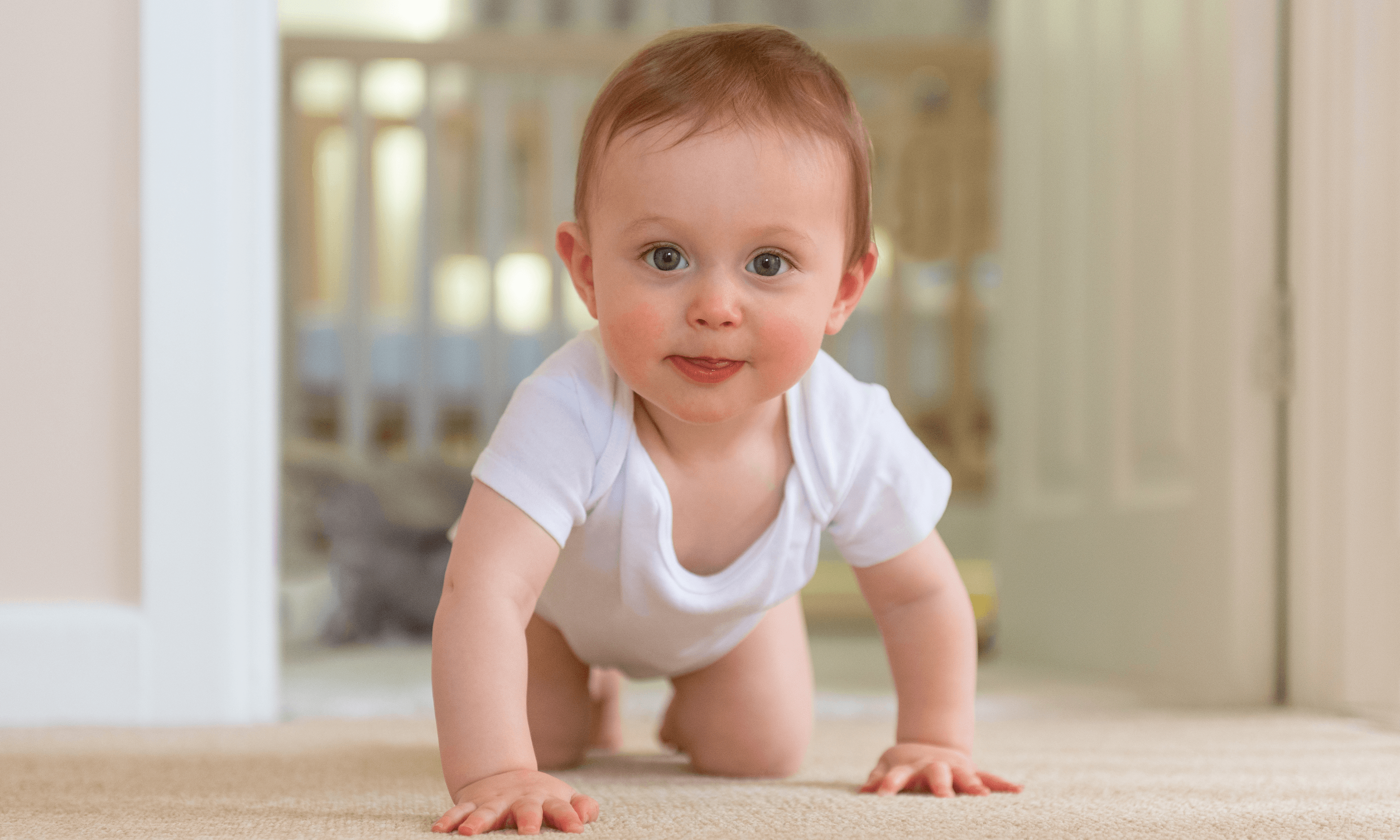 Parent-Approved (6-12 Months)
