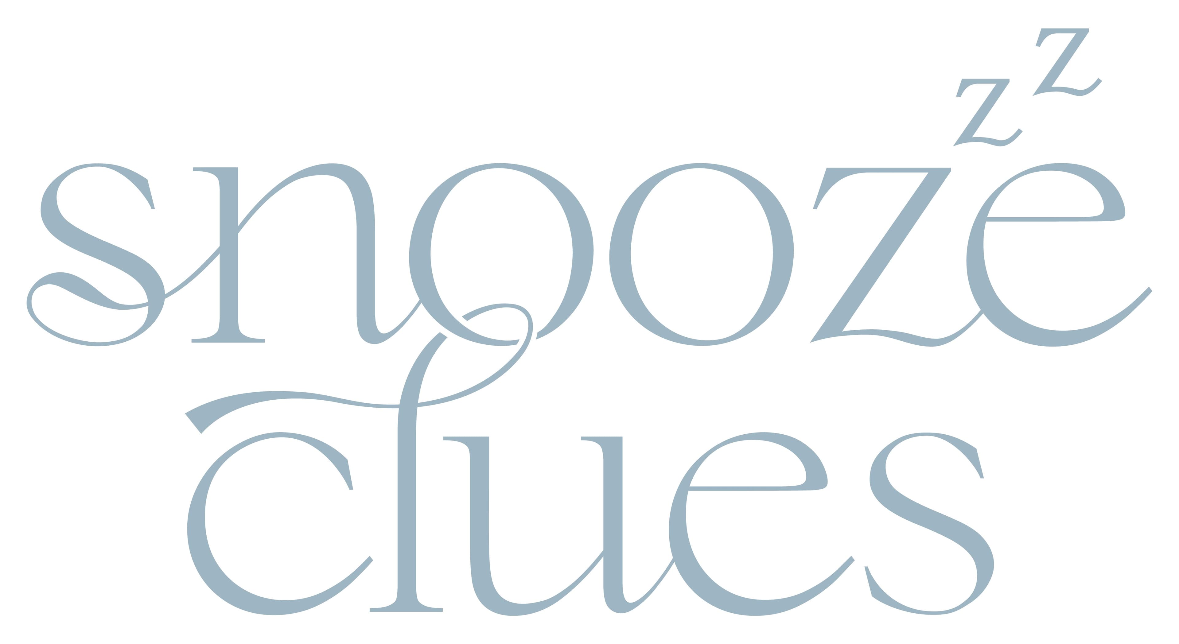 Snooze Clues: Newborn Foundations photo 1