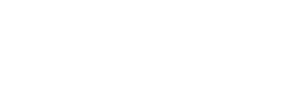 nanit logo