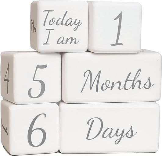 First Landings Milestone Blocks - White
