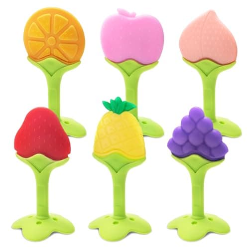 Bassion Store Fruit Teethers